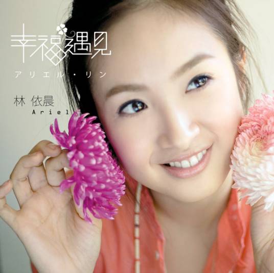 你的味道（林依晨演唱歌曲）