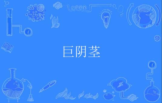 巨阴茎