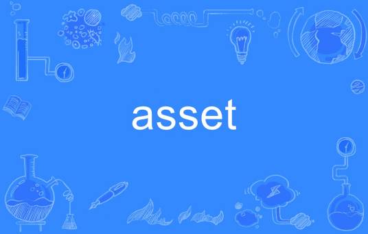 asset