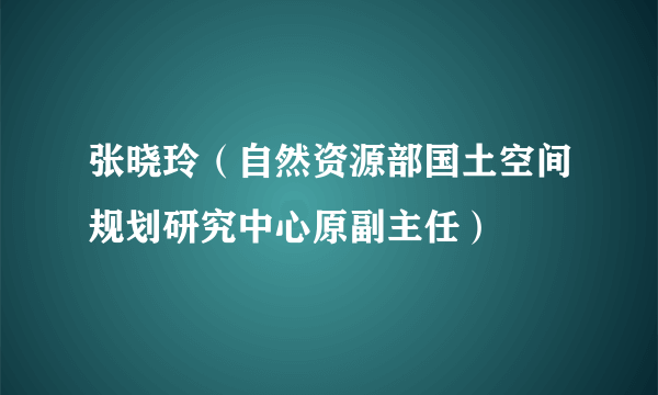 张晓玲（自然资源部国土空间规划研究中心原副主任）