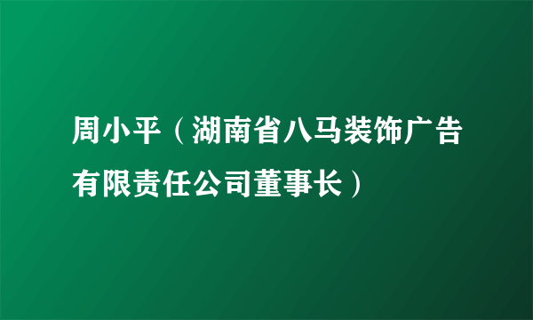 周小平（湖南省八马装饰广告有限责任公司董事长）