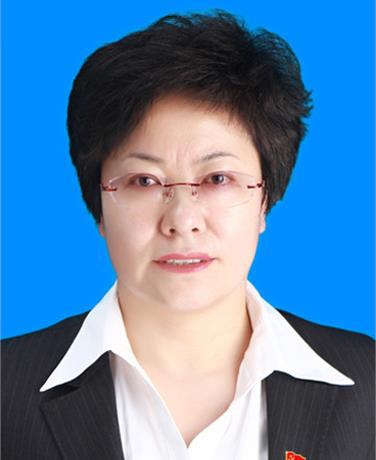 袁文（青海省西宁市城西区委副书记、区人民政府党组书记、区长、一级调研员）