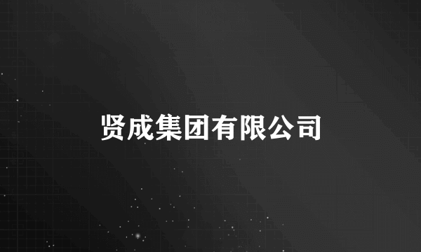 贤成集团有限公司