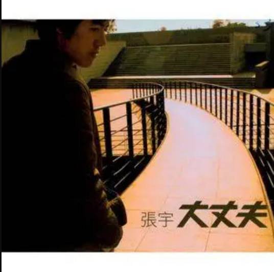 大丈夫（张宇《大丈夫》专辑中的歌曲）