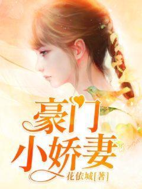 豪门小娇妻（花依城所著小说）