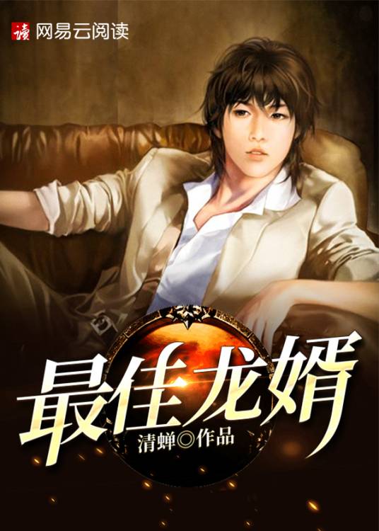最佳龙婿（清蝉创作的都市类网络小说）