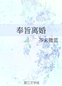 奉旨离婚