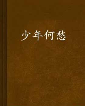 少年何愁