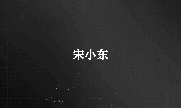 宋小东
