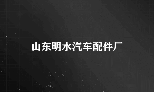 山东明水汽车配件厂