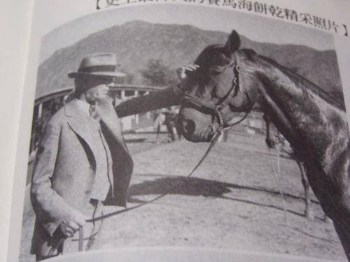 海饼干（历史著名赛马）