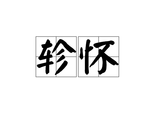 轸怀