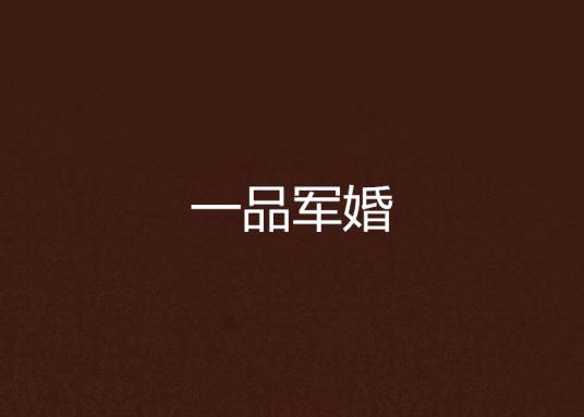 一品军婚