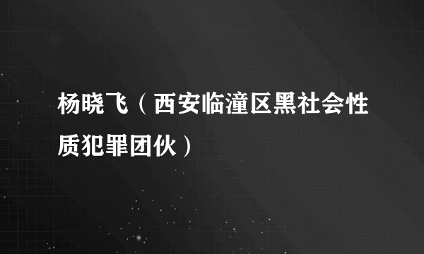 杨晓飞（西安临潼区黑社会性质犯罪团伙）