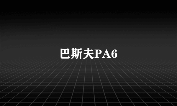 巴斯夫PA6