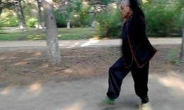 八极应手拳