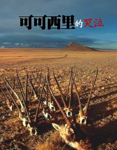 可可西里的哭泣：真实记录藏羚羊毁灭之路