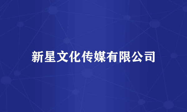 新星文化传媒有限公司