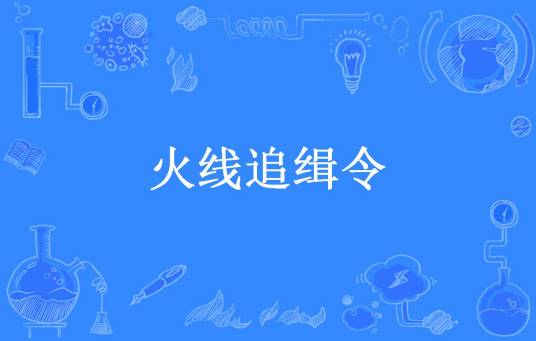 火线追缉令（黎舞谲羽所著小说）