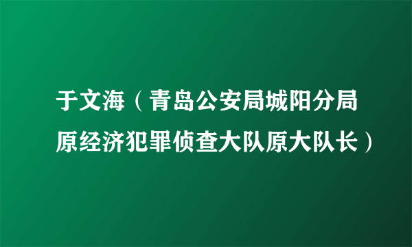 于文海（青岛公安局城阳分局原经济犯罪侦查大队原大队长）