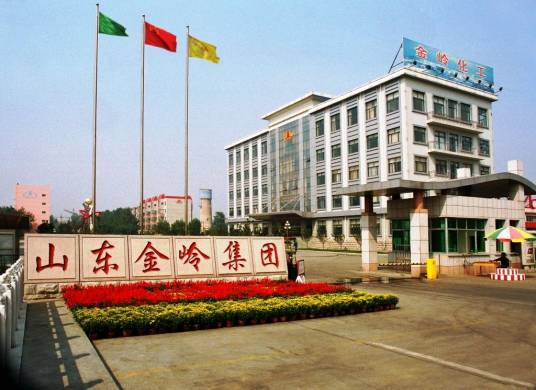 山东金岭集团