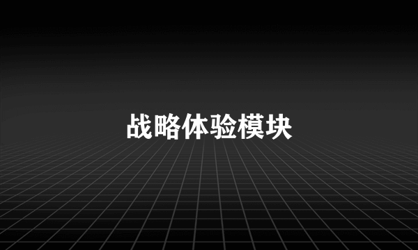 战略体验模块
