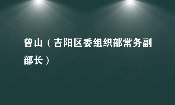 曾山（吉阳区委组织部常务副部长）