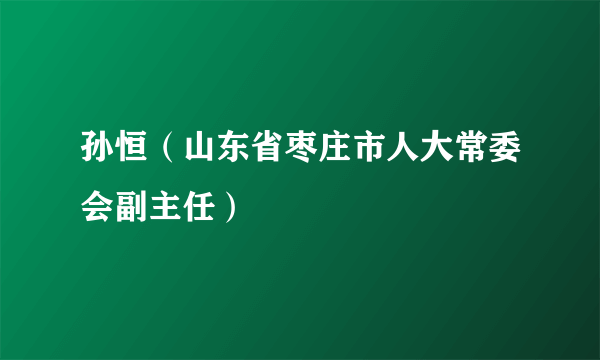 孙恒（山东省枣庄市人大常委会副主任）