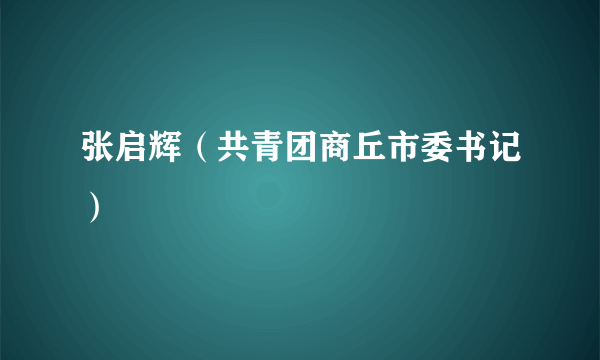 张启辉（共青团商丘市委书记）