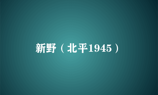 新野（北平1945）