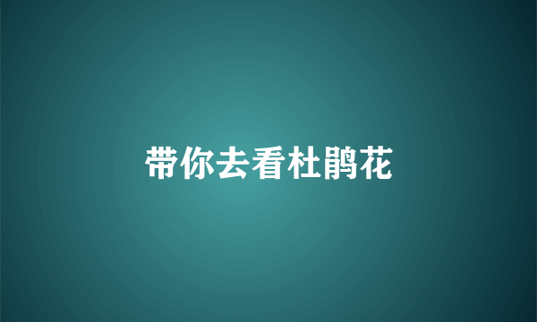 带你去看杜鹃花