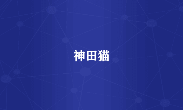 神田猫