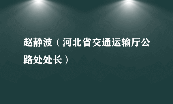 赵静波（河北省交通运输厅公路处处长）