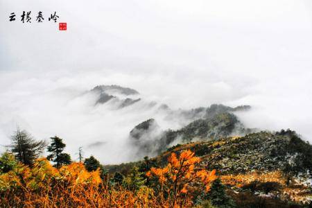 秦岭云横