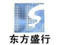 东方盛行电子有限责任公司