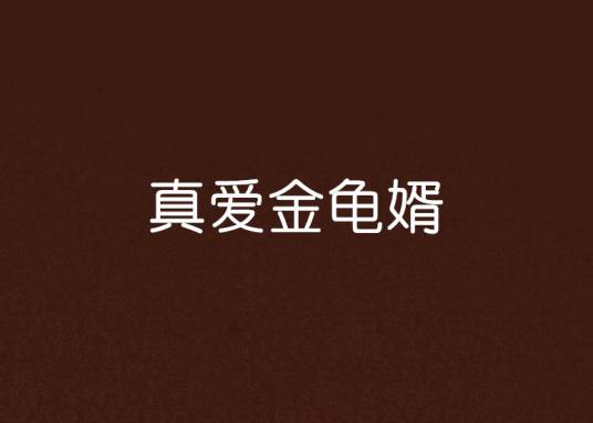 真爱金龟婿