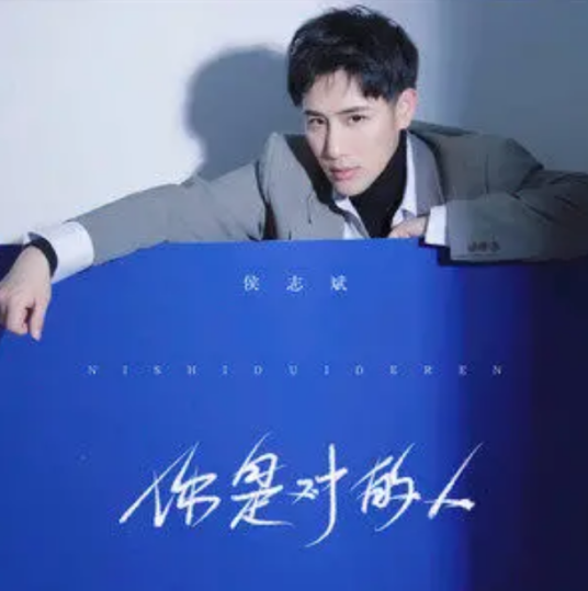 你是对的人（侯志斌演唱的歌曲）