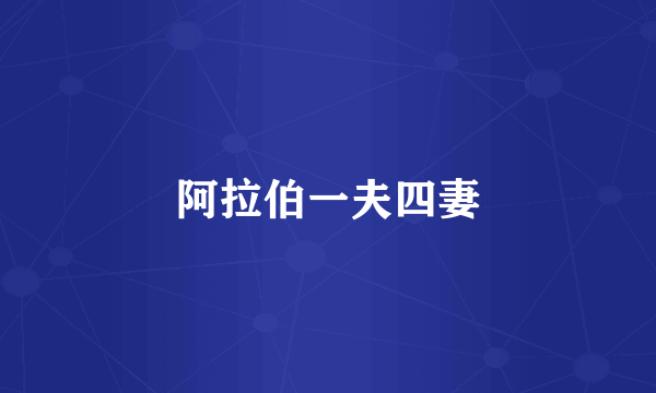 阿拉伯一夫四妻