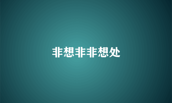 非想非非想处