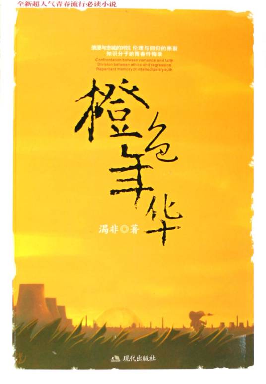 青春成长忏悔录：橙色年华