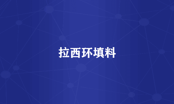 拉西环填料