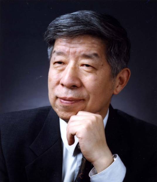 杨乐（中国科学院院士、数学家）
