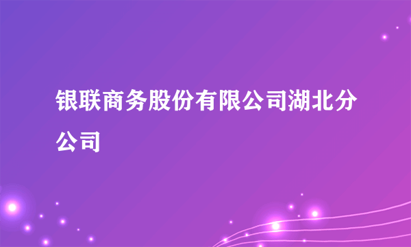 银联商务股份有限公司湖北分公司