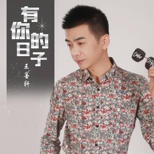 有你的日子（王墨轩演唱的歌曲）