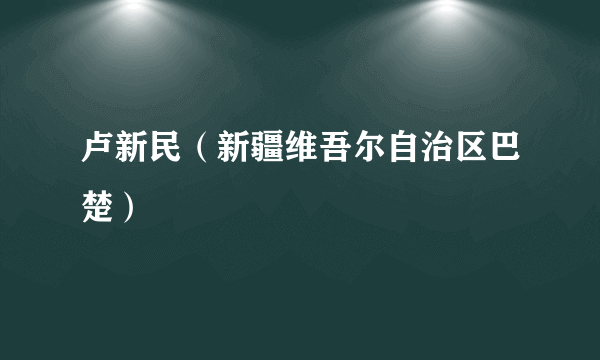 卢新民（新疆维吾尔自治区巴楚）