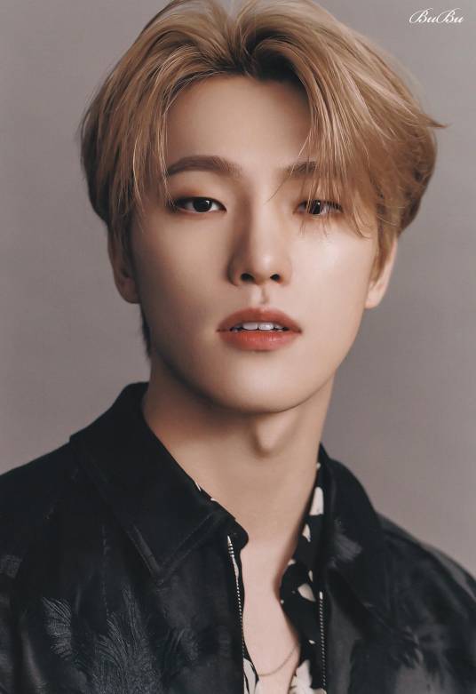 李灿（韩国男歌手）