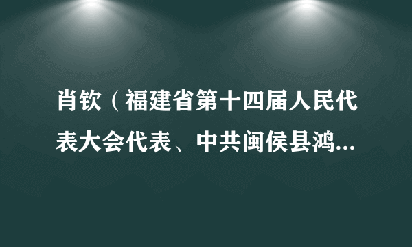 肖钦（福建省第十四届人民代表大会代表、中共闽侯县鸿尾乡党委书记、一级主任科员）