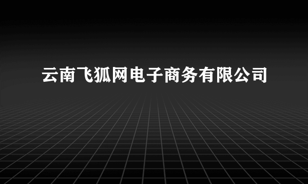 云南飞狐网电子商务有限公司