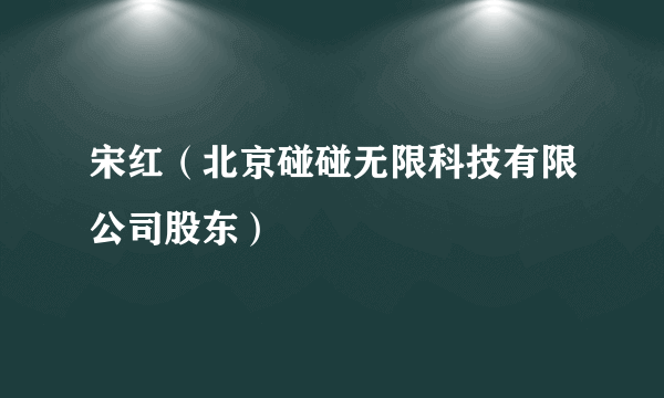 宋红（北京碰碰无限科技有限公司股东）