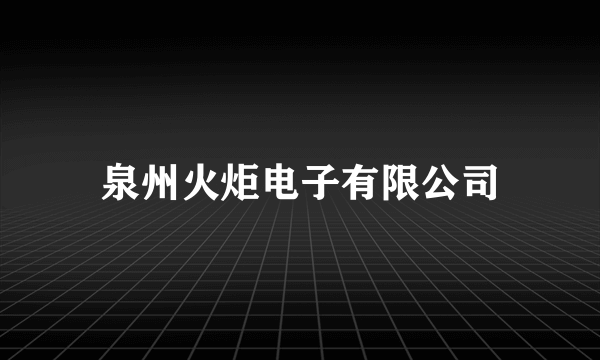 泉州火炬电子有限公司